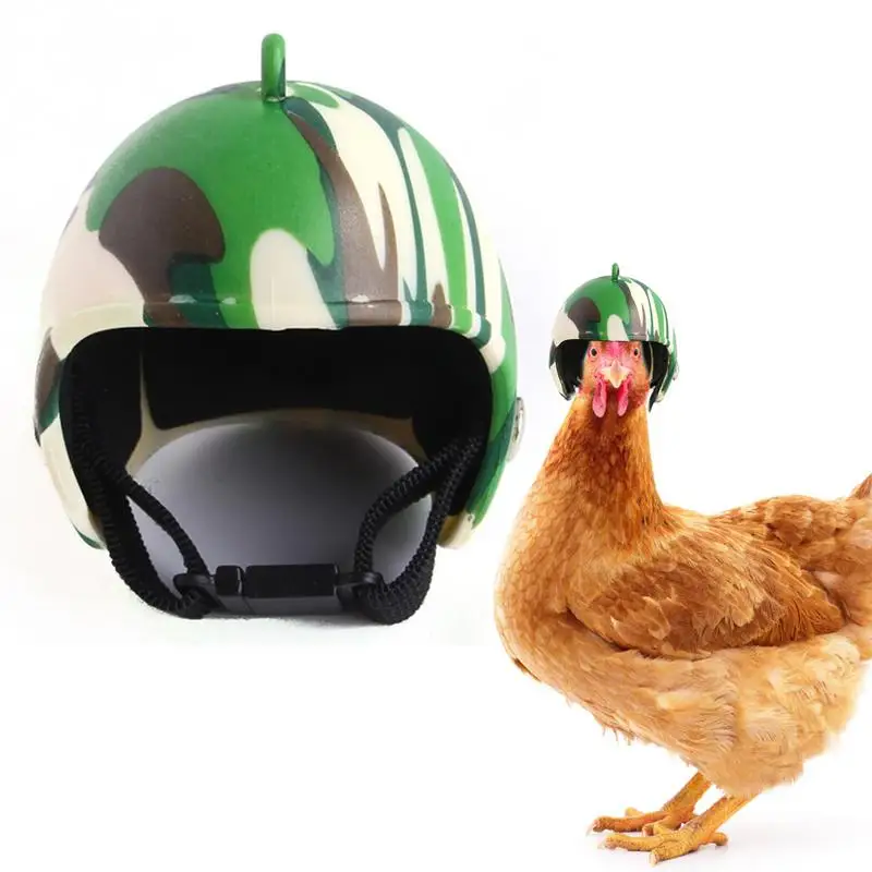 Шлем для домашних животных AUGKUN Забавный Защитный шлем для цыплят Hen Hard Bird Hat Головной убор Регулируемый по размеру Компактный и портативный В наличии